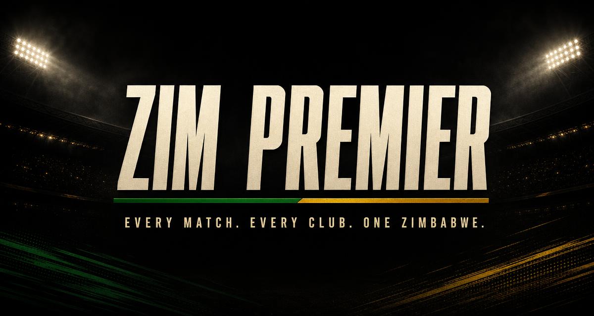 Zim Premier project preview
